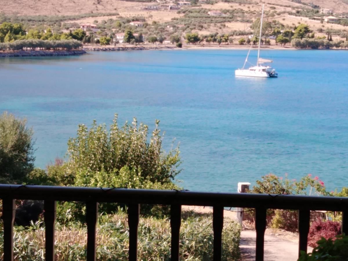 Aphrodite'S Coast Retreat House! Galaxídhion المظهر الخارجي الصورة