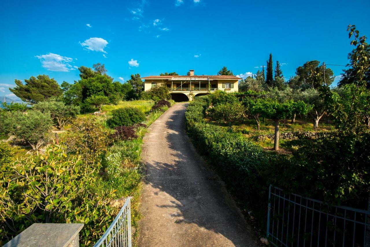 Aphrodite'S Coast Retreat House! Galaxídhion المظهر الخارجي الصورة