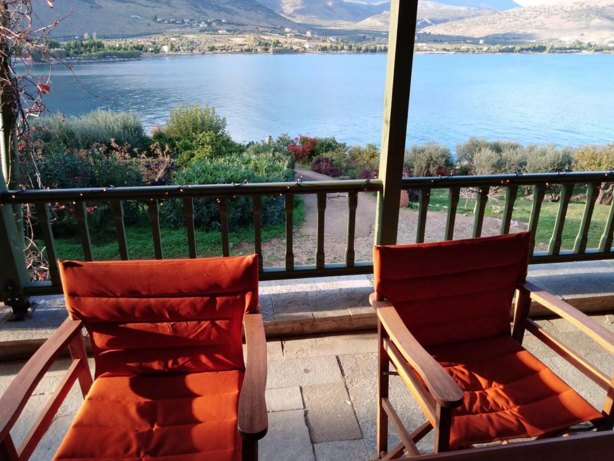 Aphrodite'S Coast Retreat House! Galaxídhion المظهر الخارجي الصورة